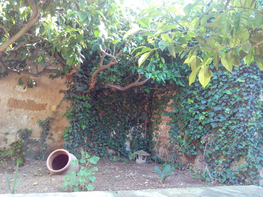 Baglio Bellavista Bed and Breakfast Torre Nubia Buitenkant foto